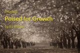 finally{} Poised for Growth by Eli White